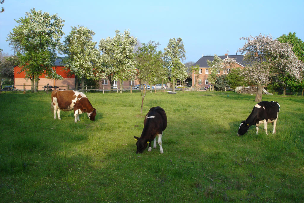 Hof Faasel - Bauernhofurlaub An Der Ostsee Grömitz Exterior foto